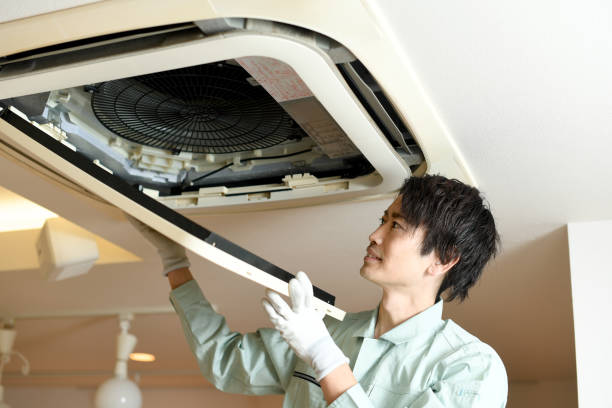 Best Air Vent Cleaning Services  in Farmersburg, IN